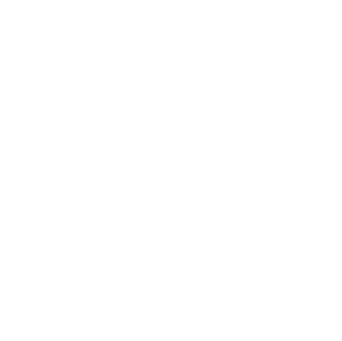 Flip icon